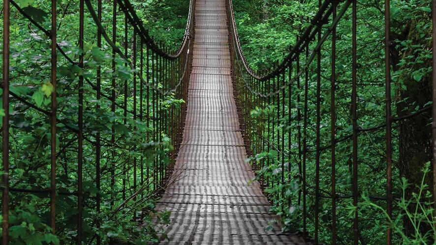 Rope bridge in the jungle